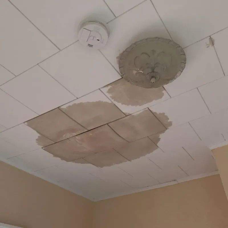 Ceiling Water Damage Repair in West Samoset, FL